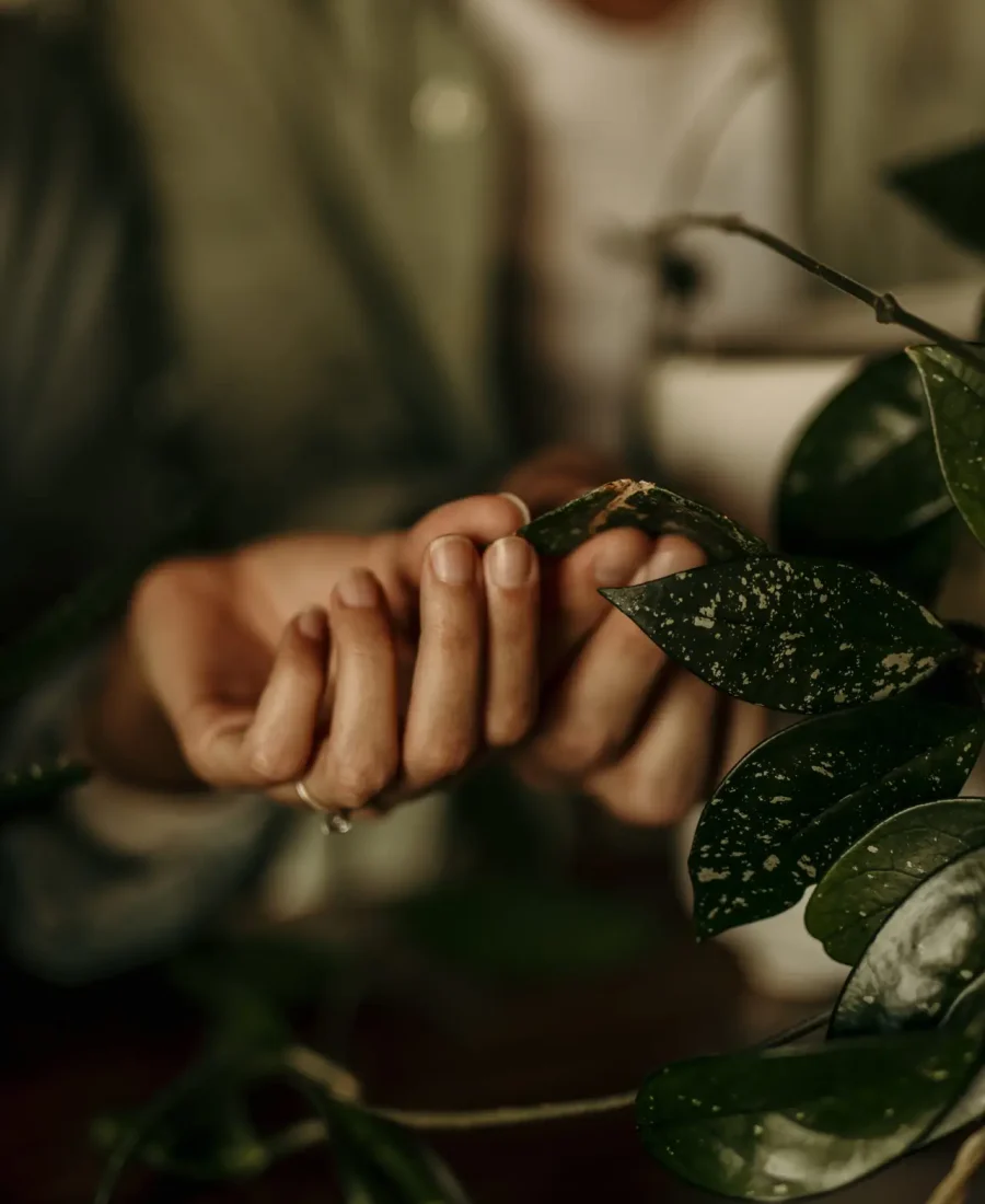 Diverse couple, man and woman, wife and husband planting flowers together and taking care of home plants. Domestic life family concept