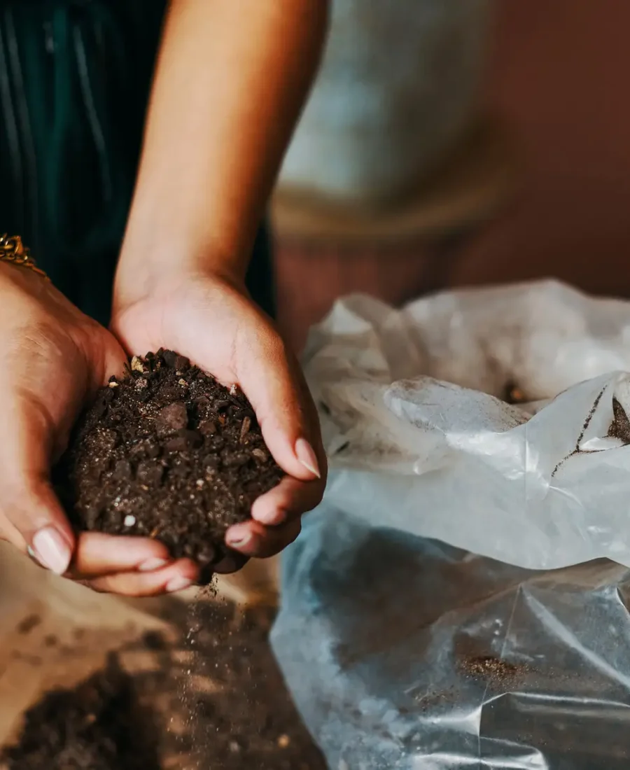 Cropped shot of an unrecognisable woman holding potting soil while gardening at home